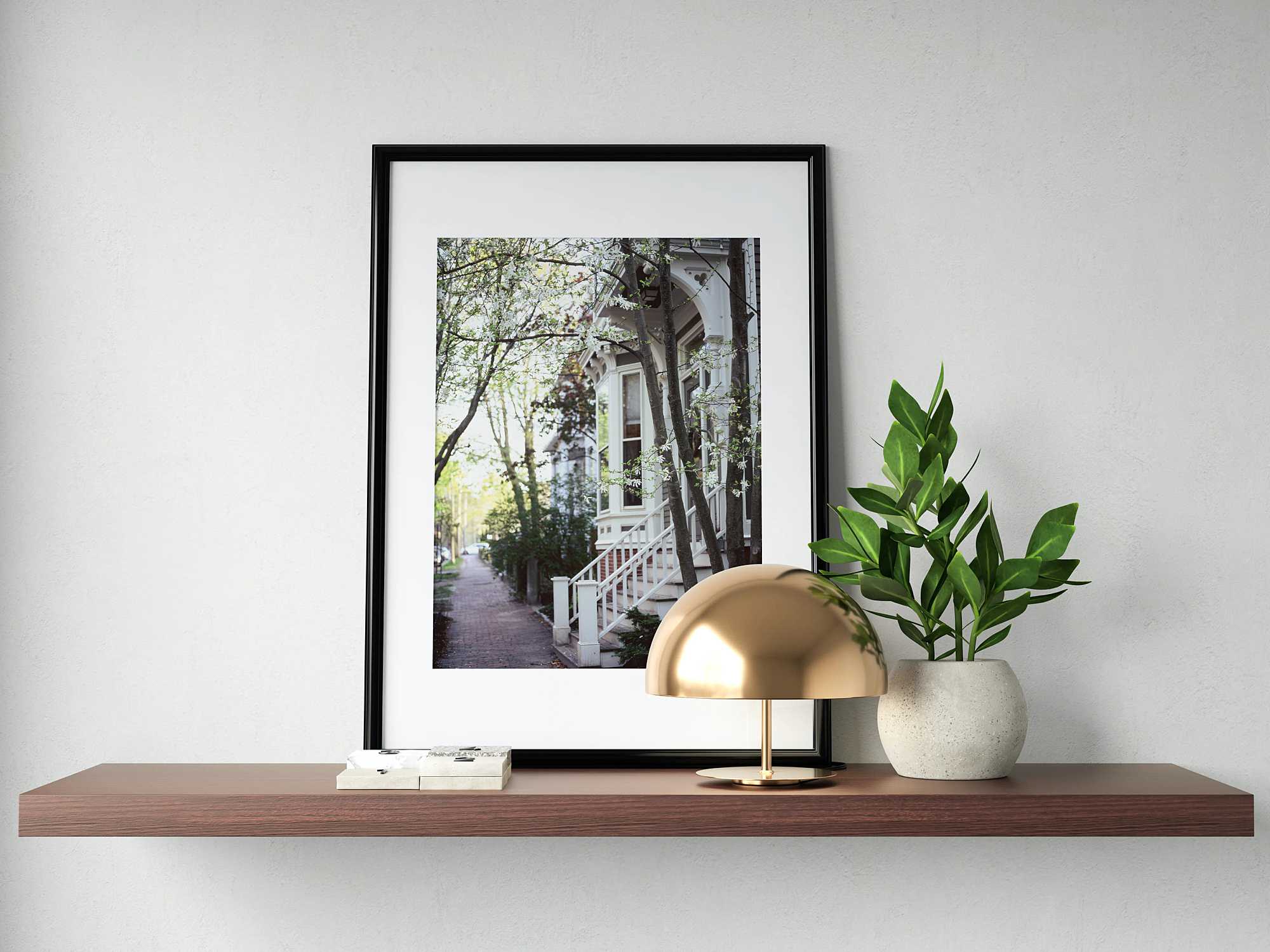 a framed photo print from the paige gribb photography print shop on a floating shelf with a plant and small lamp