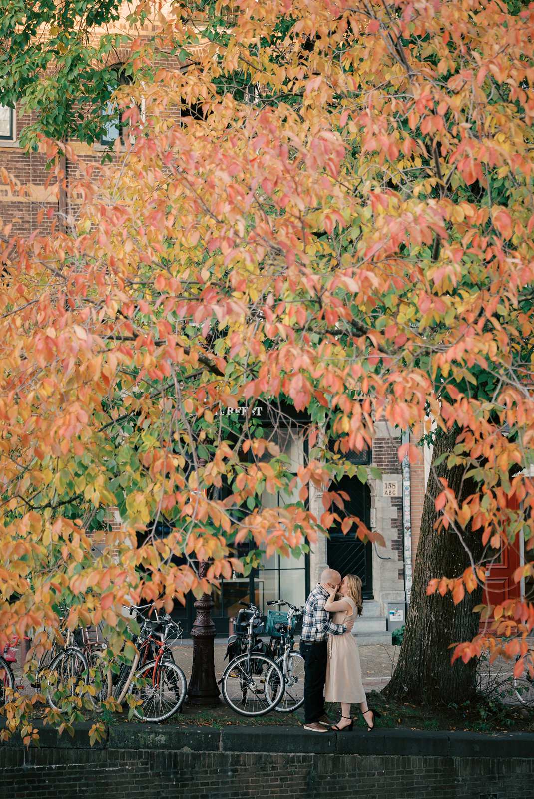 A couple embraces under a large autumn tree beside parked bicycles on an Amsterdam city street, creating the perfect romantic fall photo shoot.